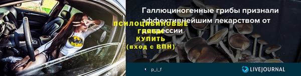 мяу мяу мука Козловка