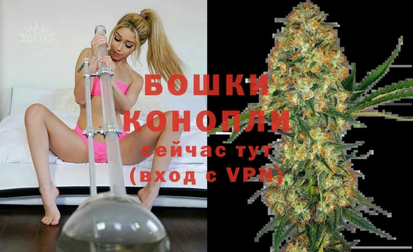 мет Нея